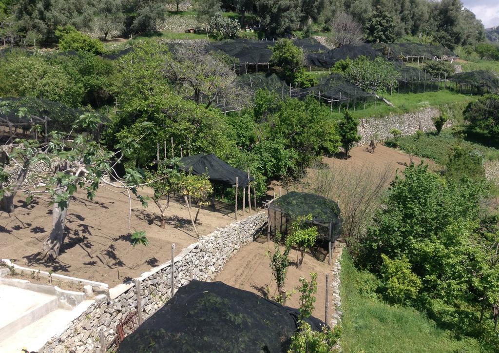 Tenuta Cavaliere Breathtaking View Amalfi Exterior photo